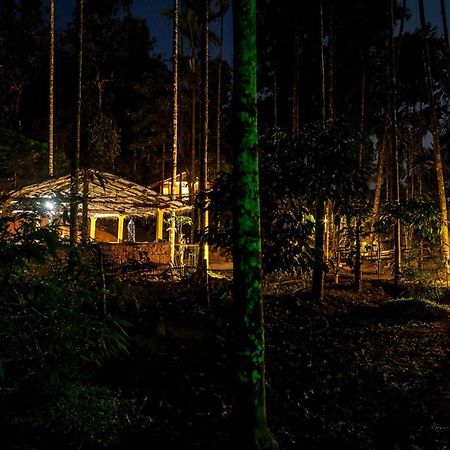 Wooden Cottages Glen Wayanad Meppadi Exterior photo