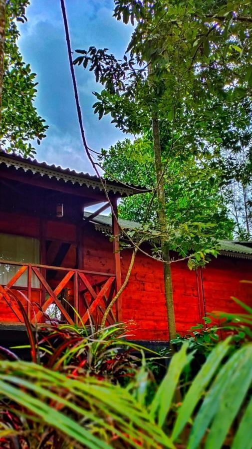 Wooden Cottages Glen Wayanad Meppadi Exterior photo