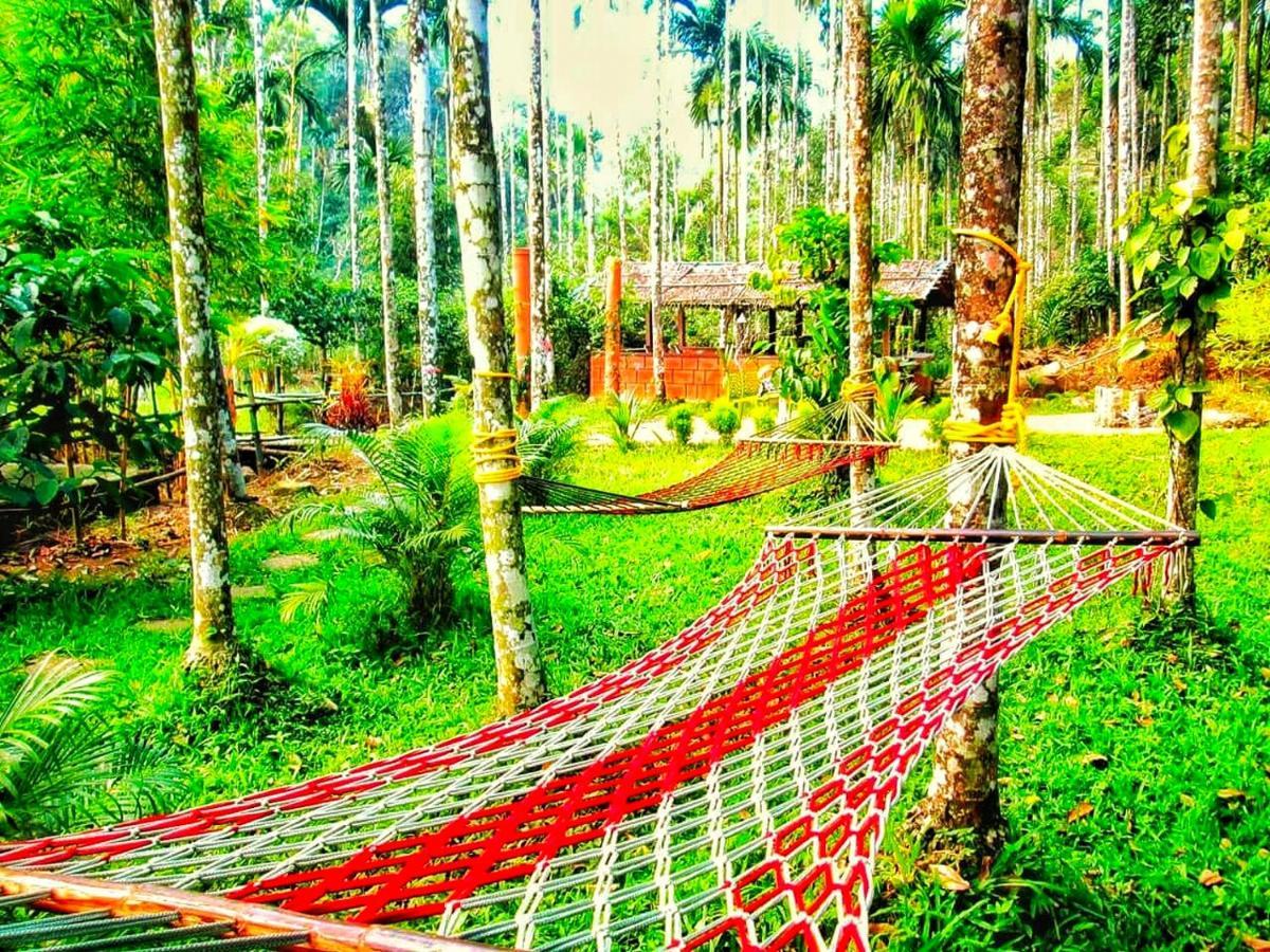 Wooden Cottages Glen Wayanad Meppadi Exterior photo