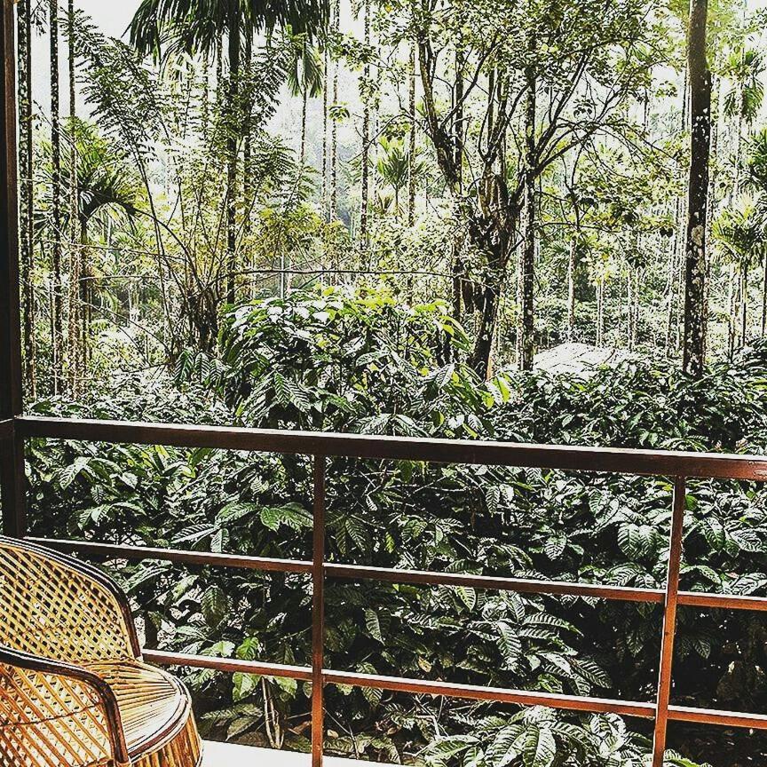 Wooden Cottages Glen Wayanad Meppadi Exterior photo