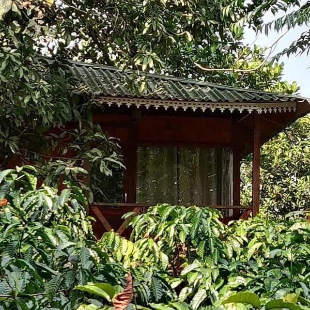 Wooden Cottages Glen Wayanad Meppadi Exterior photo