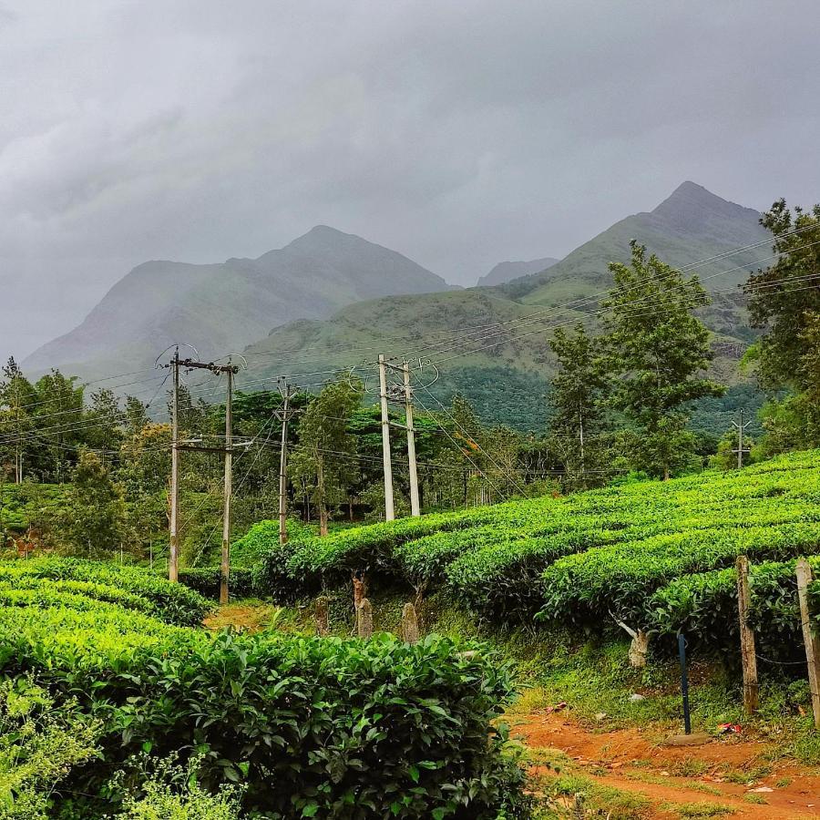 Wooden Cottages Glen Wayanad Meppadi Exterior photo