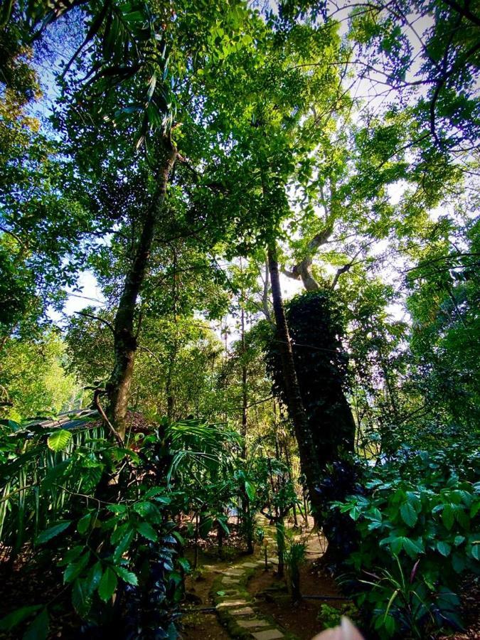 Wooden Cottages Glen Wayanad Meppadi Exterior photo