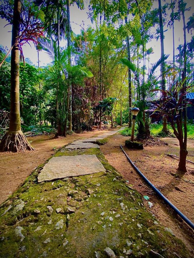 Wooden Cottages Glen Wayanad Meppadi Exterior photo